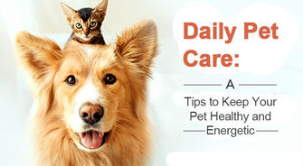 Daily Pet Care: Tips to Keep Your Pet Healthy and Energetic